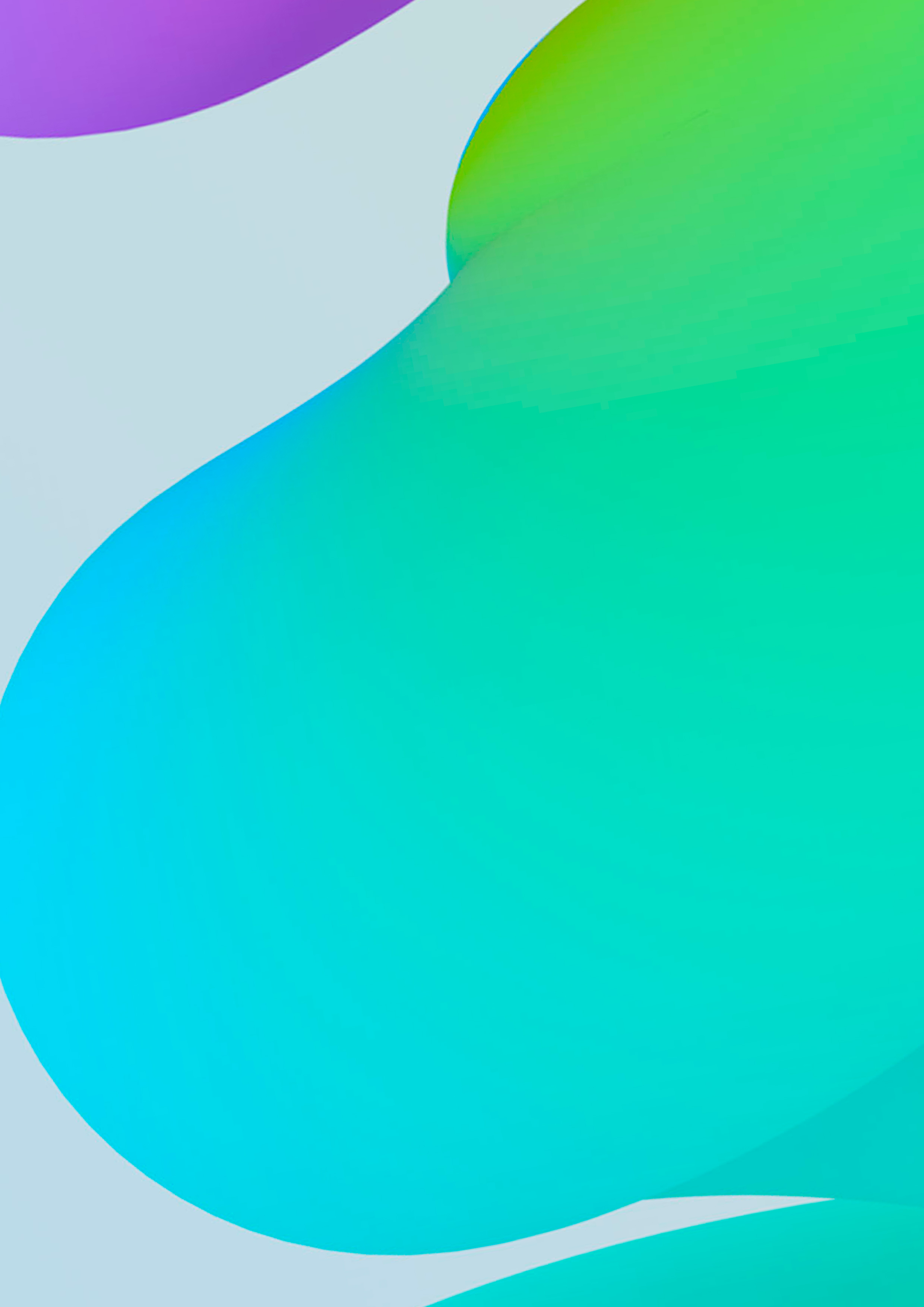 Bg_2019
